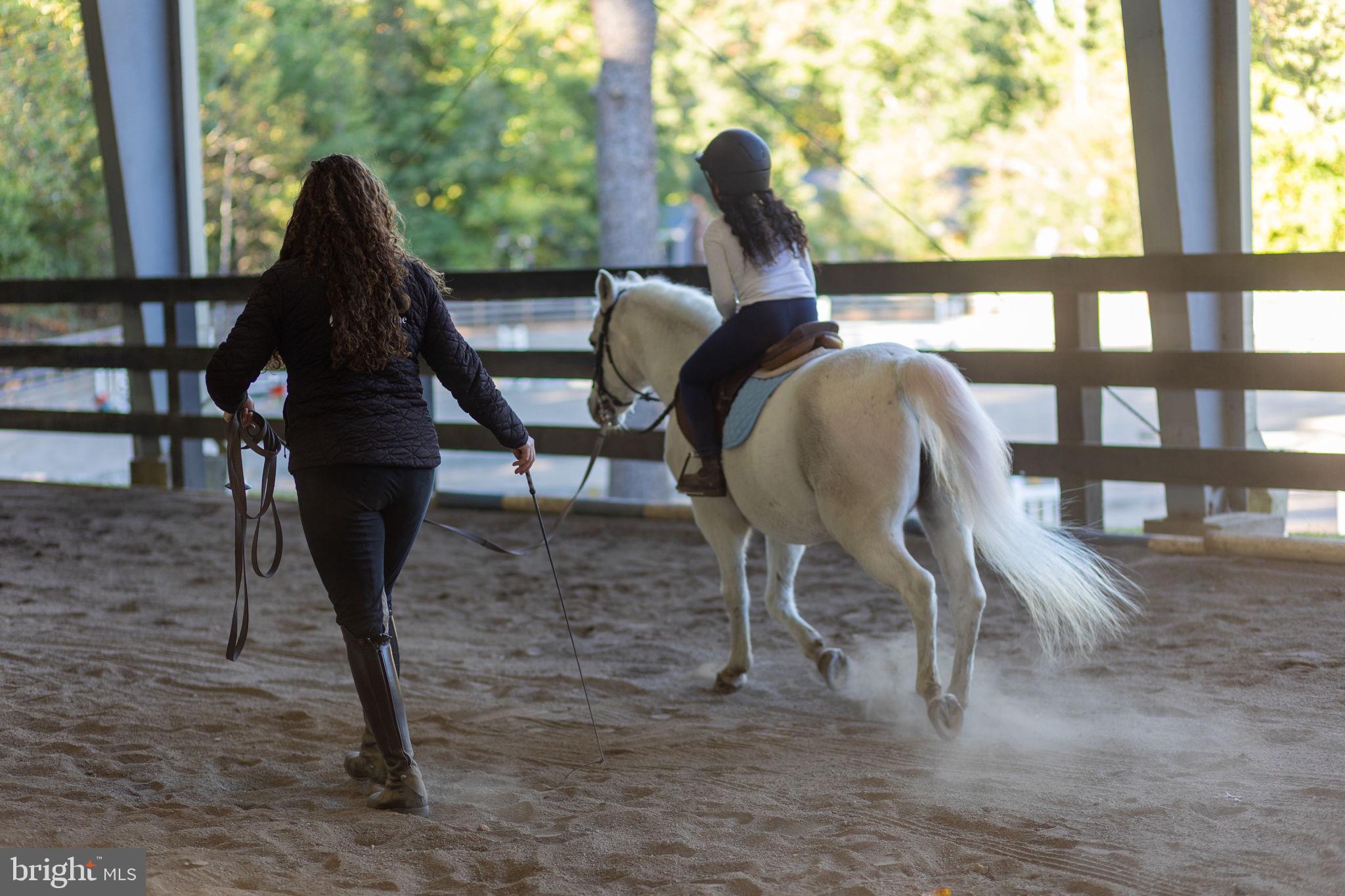 200 Wilderness Lane Locust Grove, VA 22508 - Photo 36 of 67 Joyful moments in the riding arena.