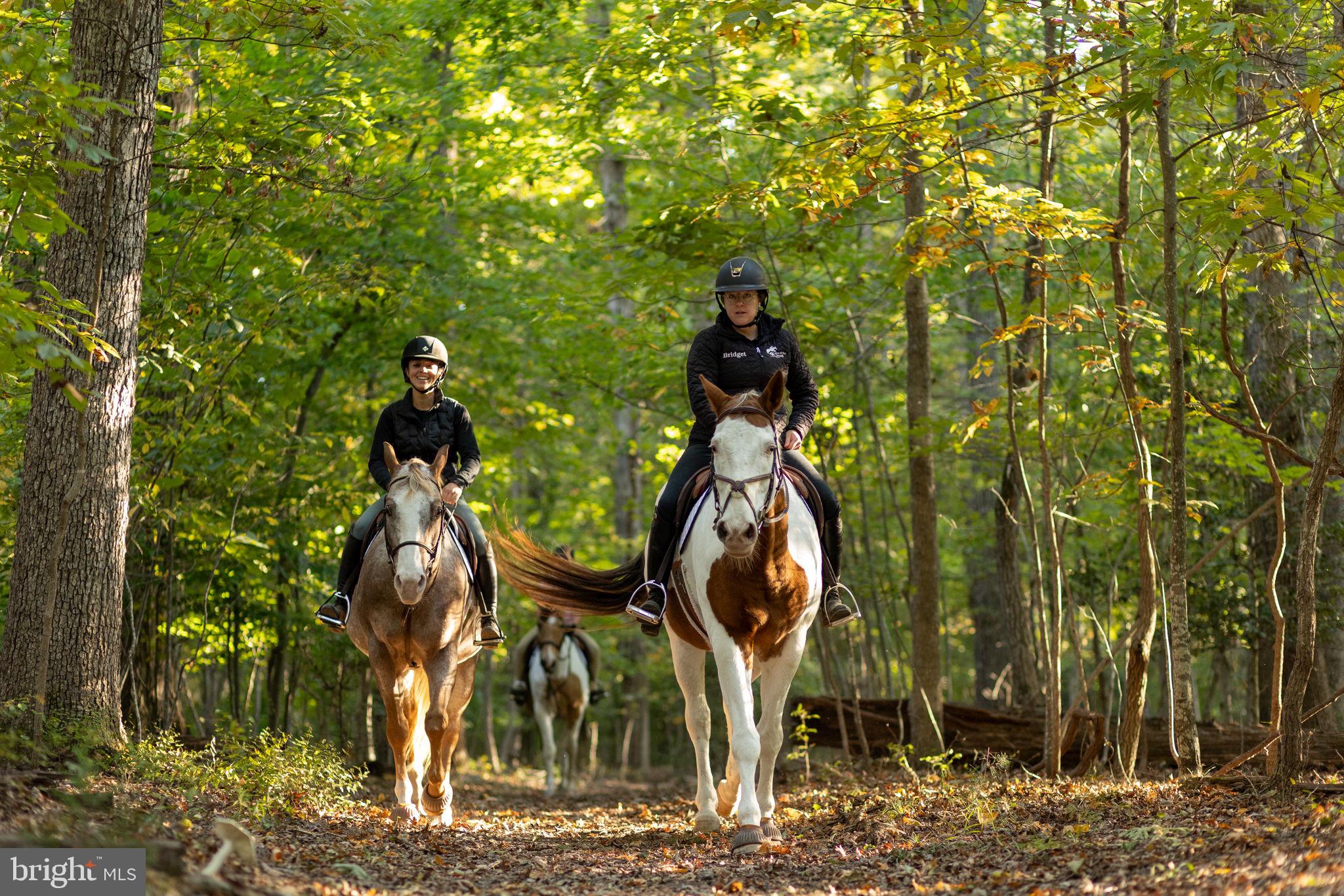 200 Wilderness Lane Locust Grove, VA 22508 - Photo 37 of 67 Exploring nature on horseback.