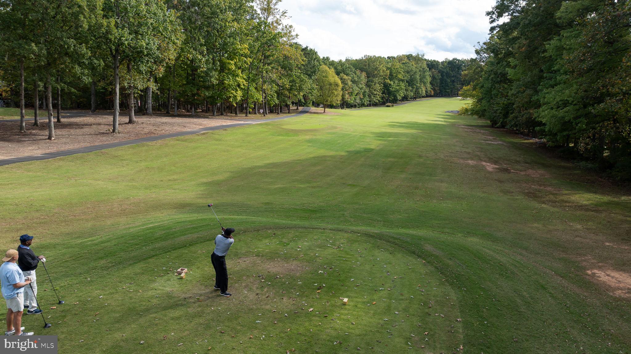 200 Wilderness Lane Locust Grove, VA 22508 - Photo 41 of 67 Golfers tee off in serene landscape.