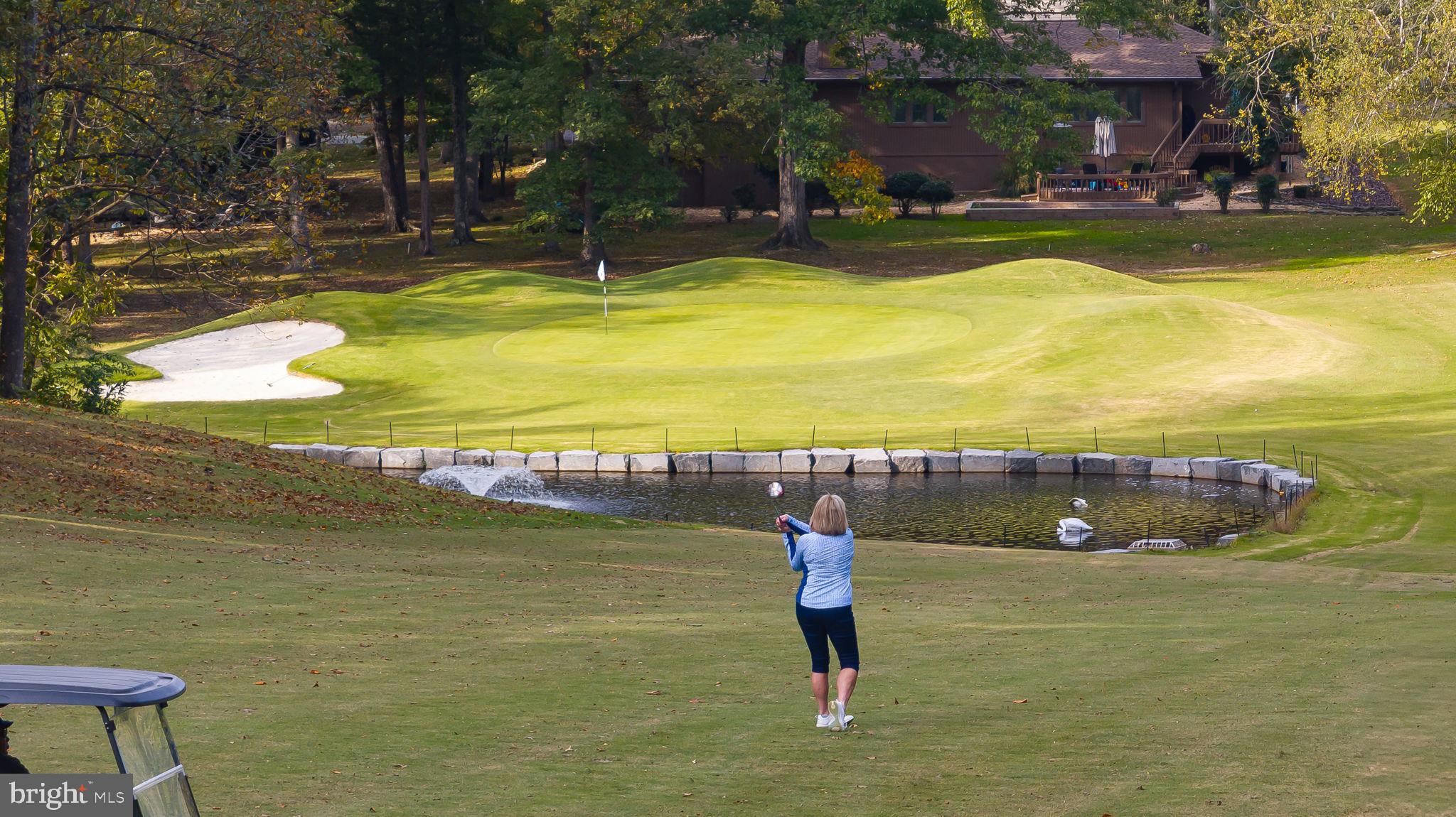 200 Wilderness Lane Locust Grove, VA 22508 - Photo 43 of 67 Swinging into a perfect day on the green.