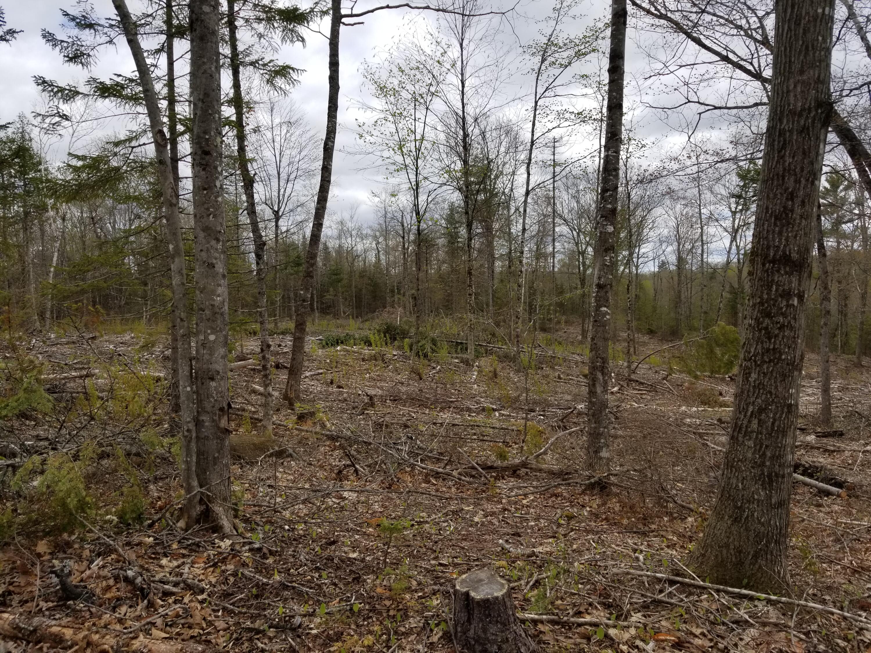 Tbd Kimball Hill Road Jackson, ME 04921 - Photo 8 of 13 20210506_142355