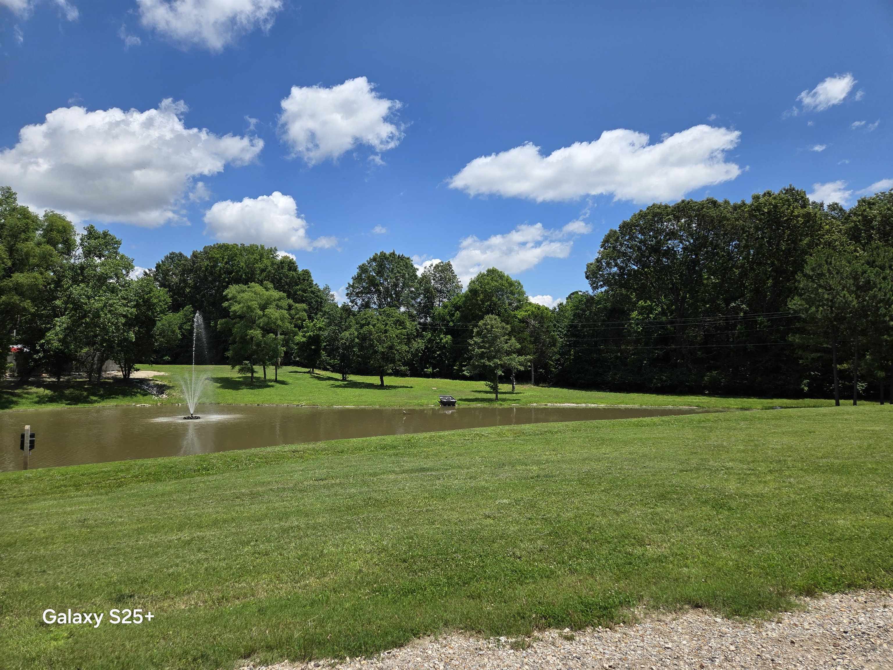 8224 Memphis Arlington Road Bartlett, TN 38002 - Photo 6 of 7 View of property's community featuring a yard and a water view