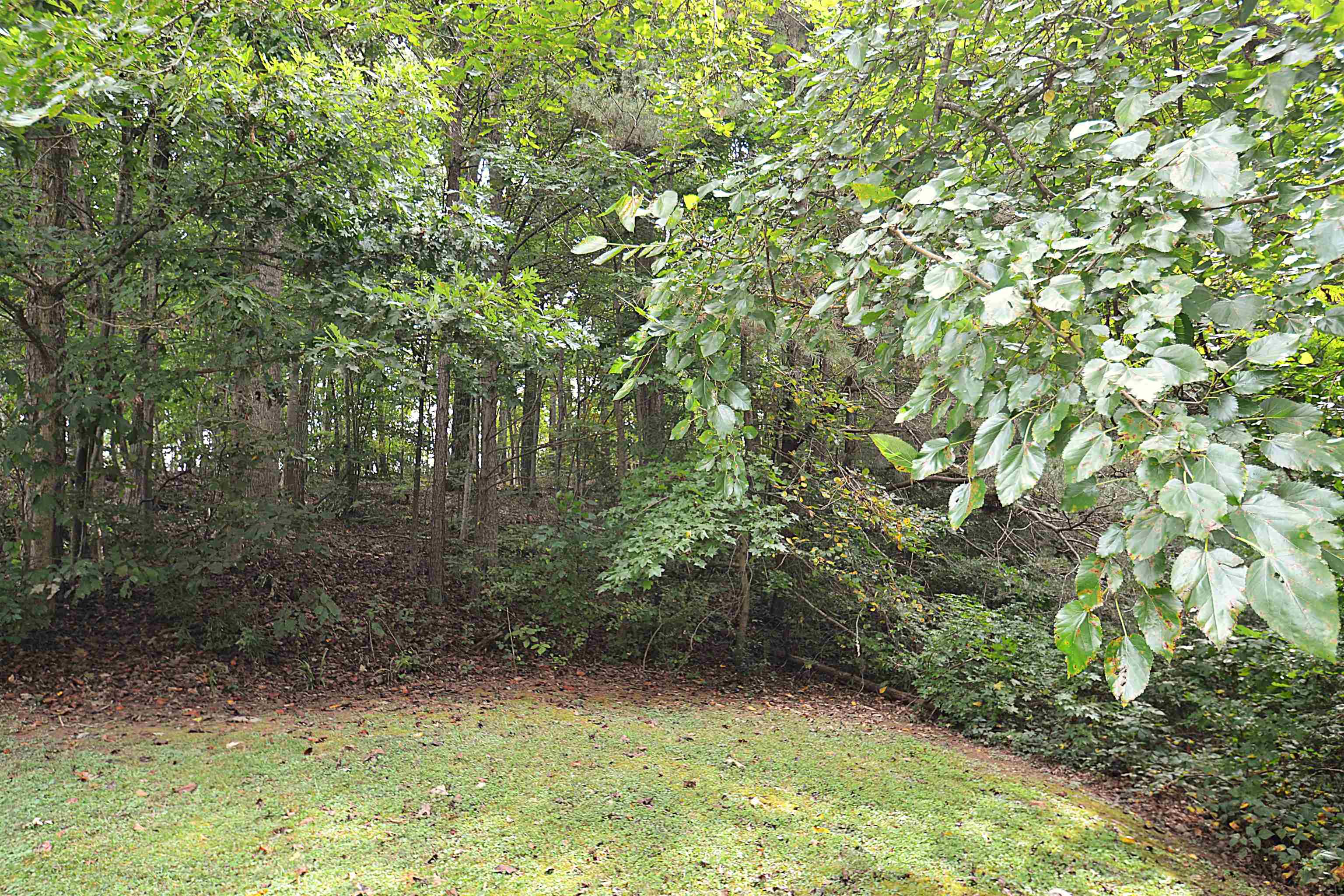 245 Tucker Road Spartanburg, SC 29306 - Photo 5 of 6 Gallery Image 5