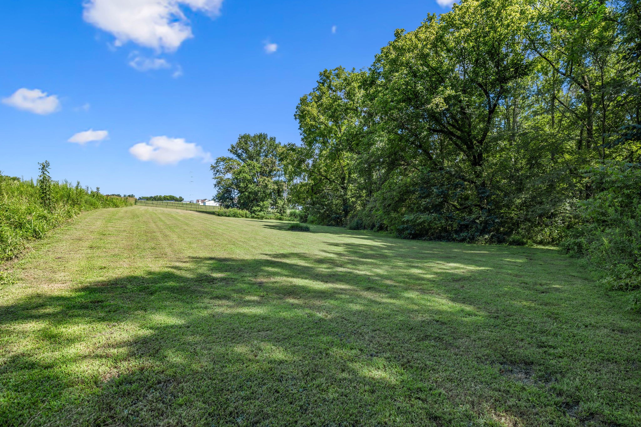 1060 Armstrong Road Castalian Springs, TN 37031 - Photo 36 of 44 Gallery Image 36