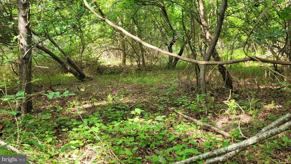 a backyard of a house with lots of green space and garden area