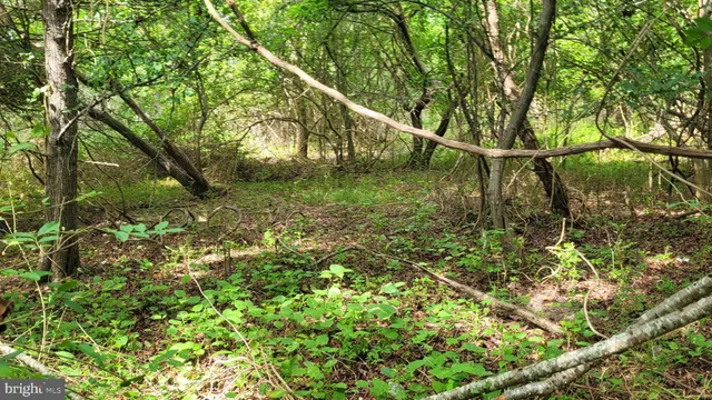 a backyard of a house with lots of green space and garden area