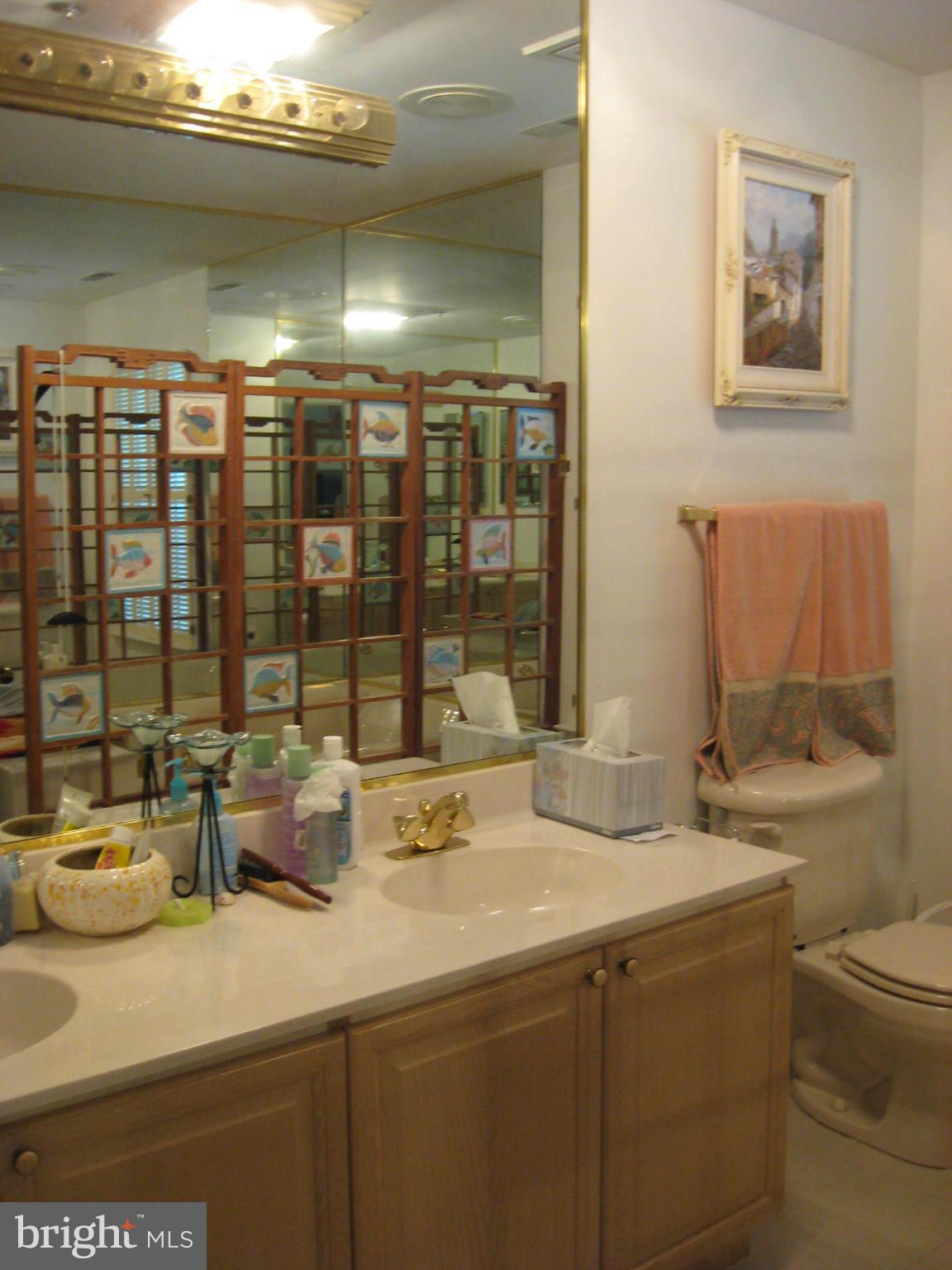 1236 Back Creek Loop, Unit 1236 Solomons, MD 20688 - Photo 15 of 24 a bathroom with a sink and a mirror