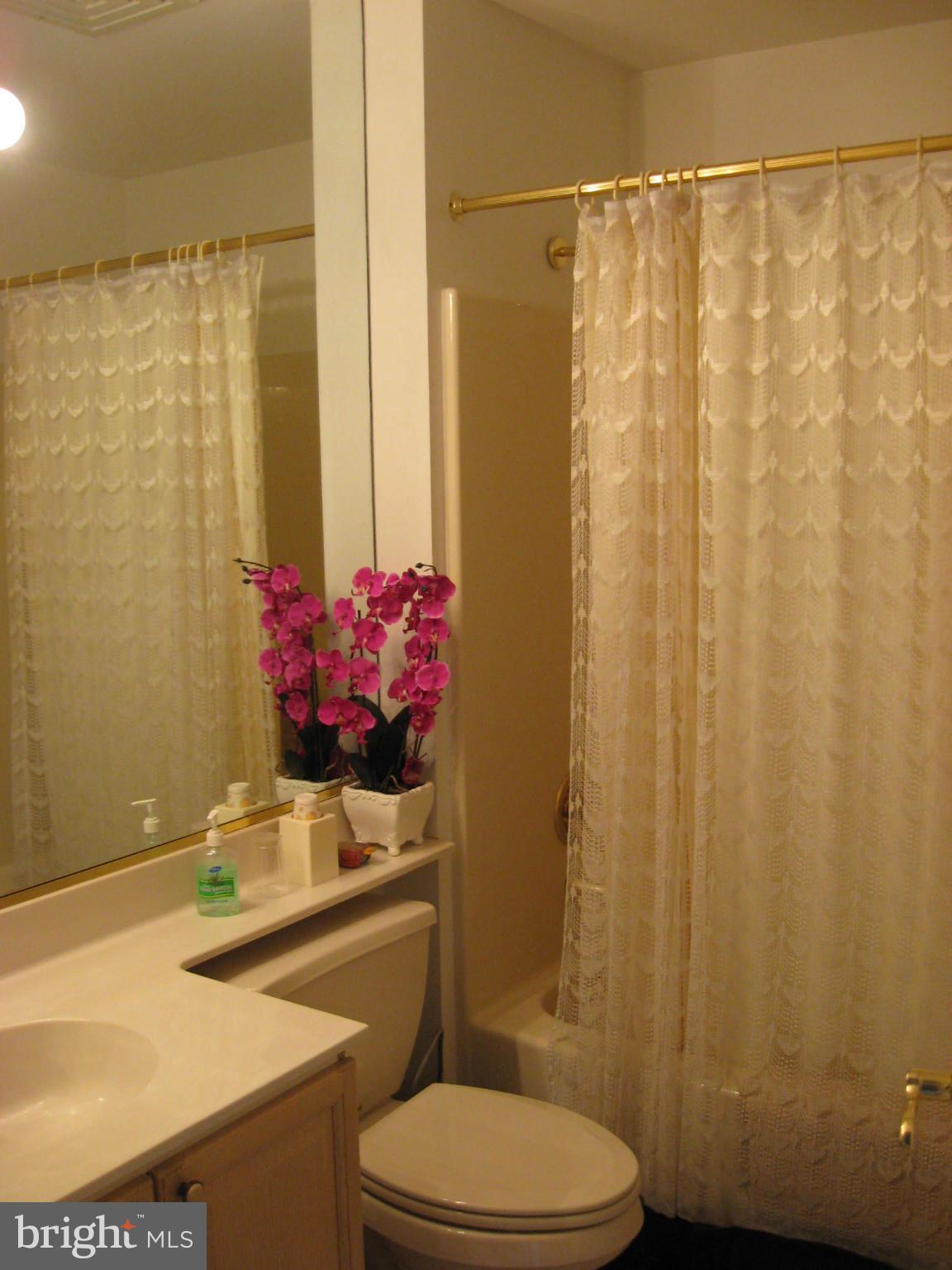1236 Back Creek Loop, Unit 1236 Solomons, MD 20688 - Photo 18 of 24 a bathroom with a sink toilet and shower