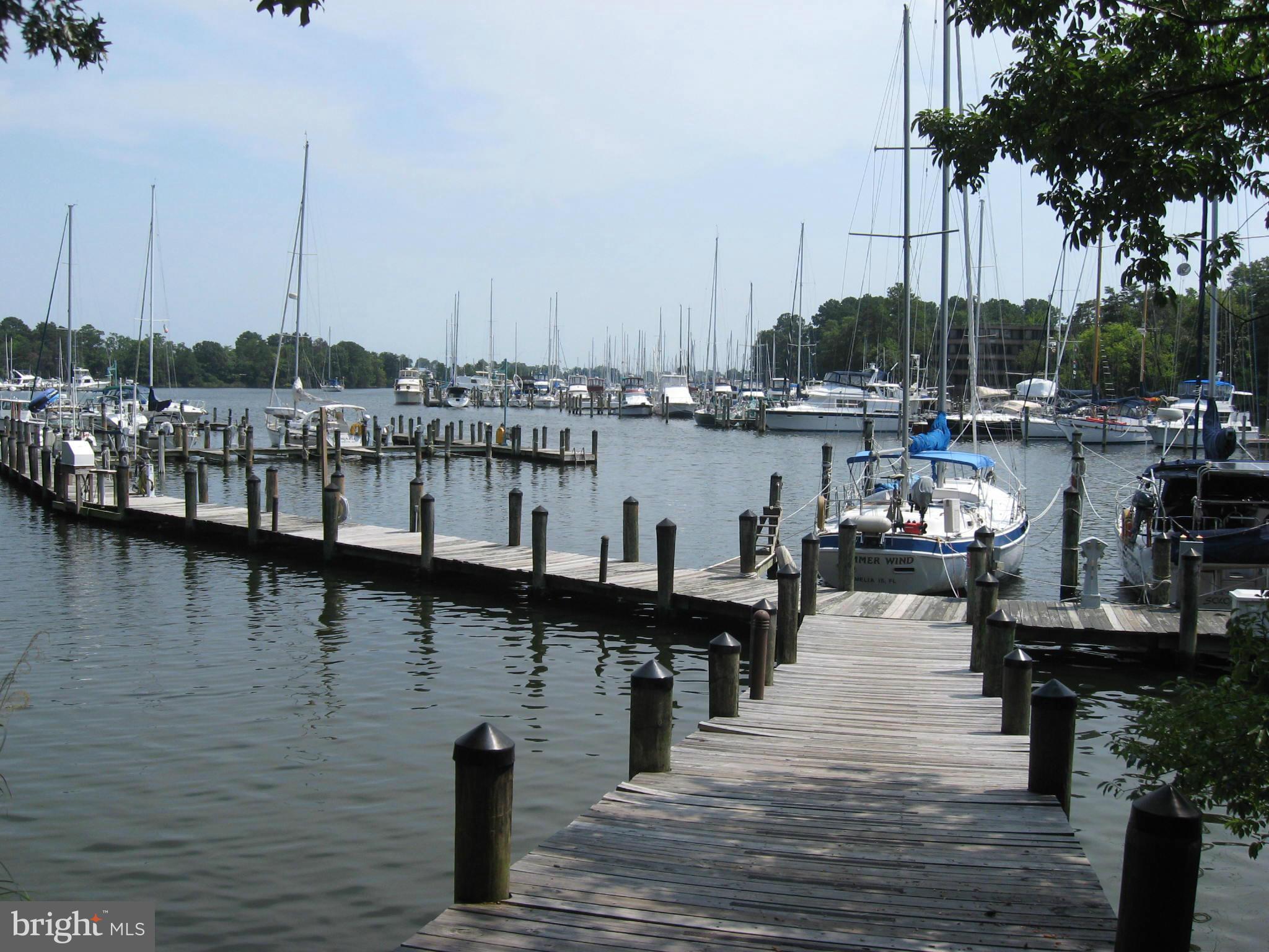 1236 Back Creek Loop, Unit 1236 Solomons, MD 20688 - Photo 19 of 24 a lake view with boat and palm trees