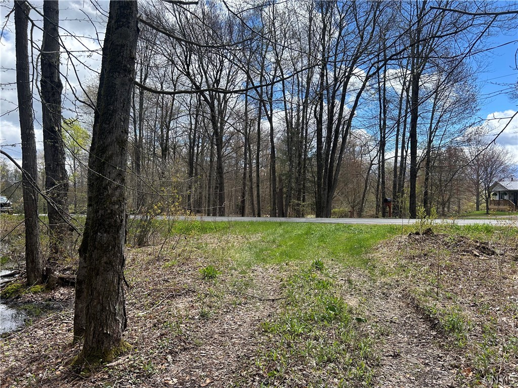 0 North Hillsborough Road Camden, NY 13316 - Photo 7 of 8