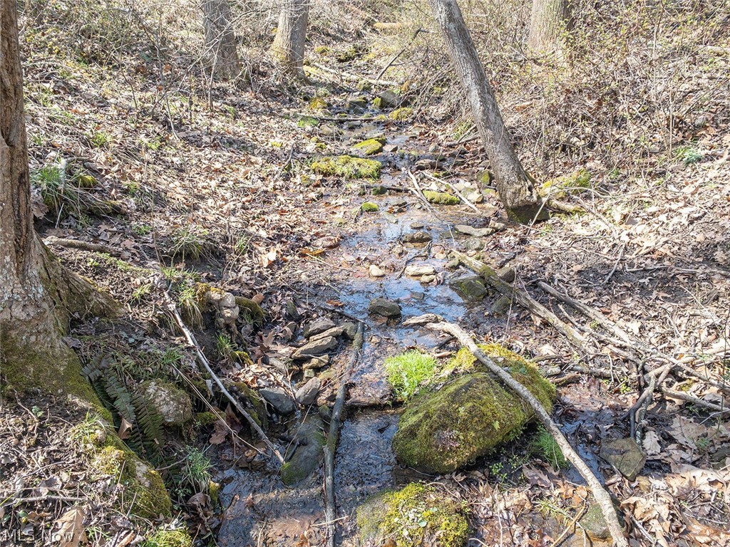0 Township Road Coshocton, OH 43812 - Photo 13 of 24