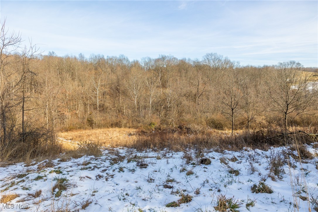 377 State Route Malta, OH 43758 - Photo 17 of 36 Snowy landscape featuring a forest view