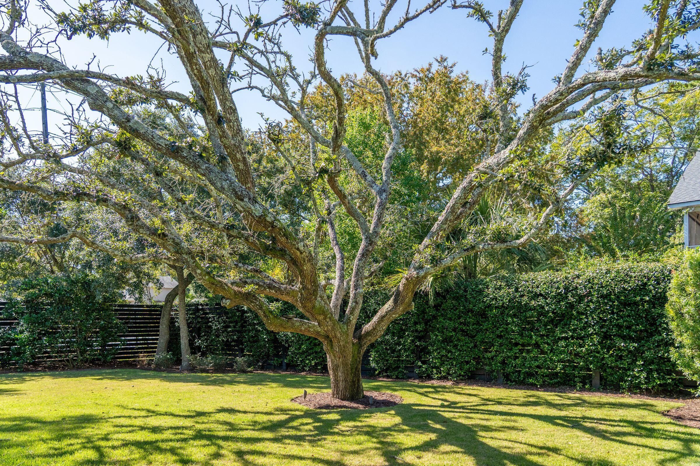 1483 Burningtree Road Charleston, SC 29412 - Photo 48 of 61 Backyard