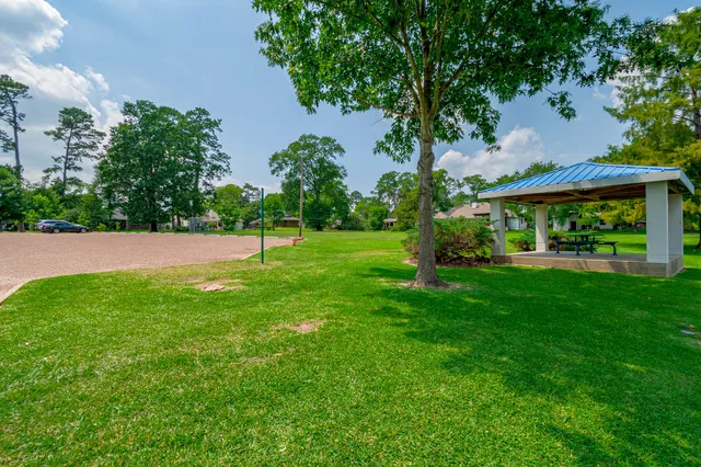 a view of green field with a tree
