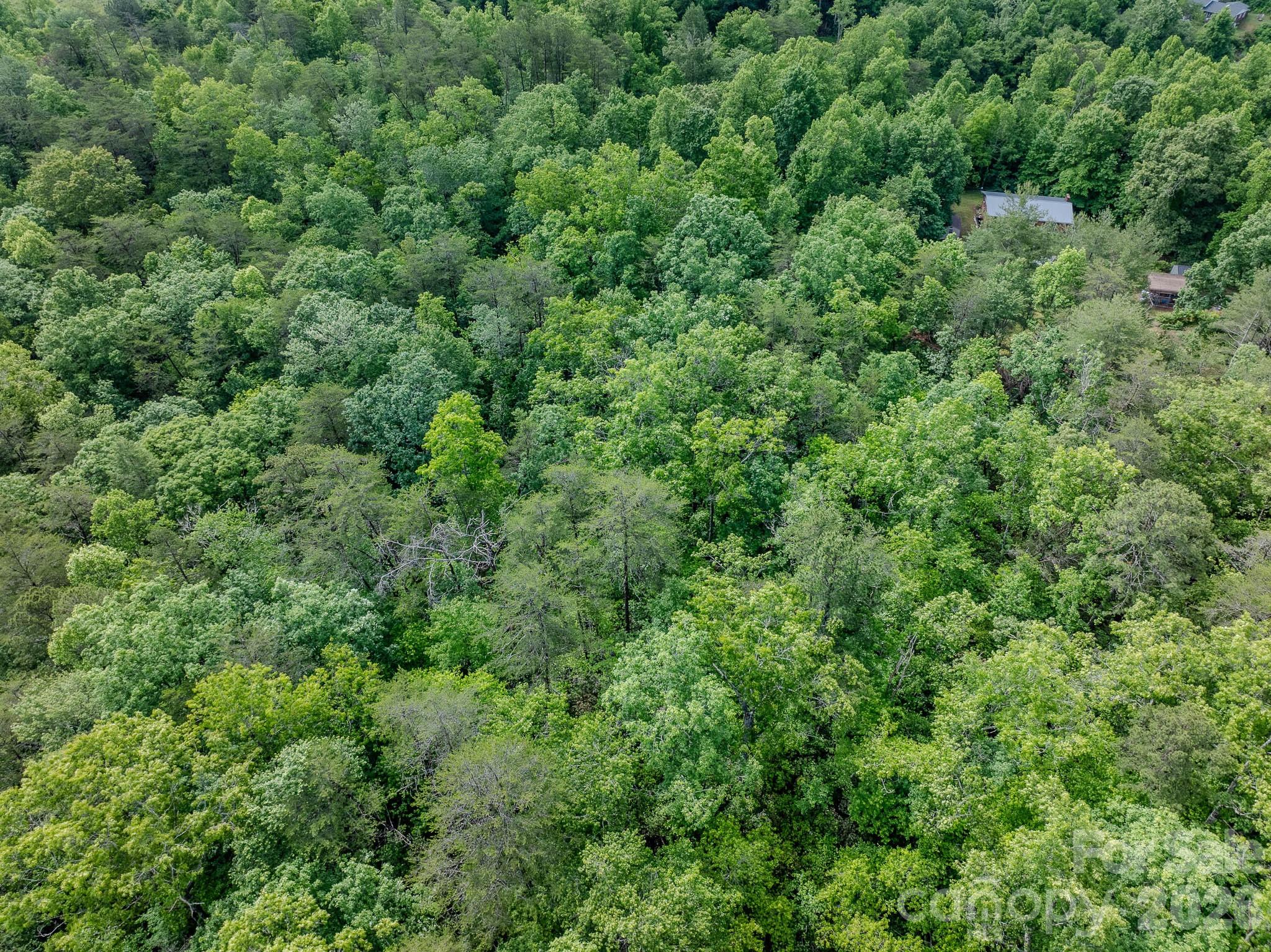 1226 Bethlehem Road Old Fort, NC 28762 - Photo 11 of 15 Gallery Image 11