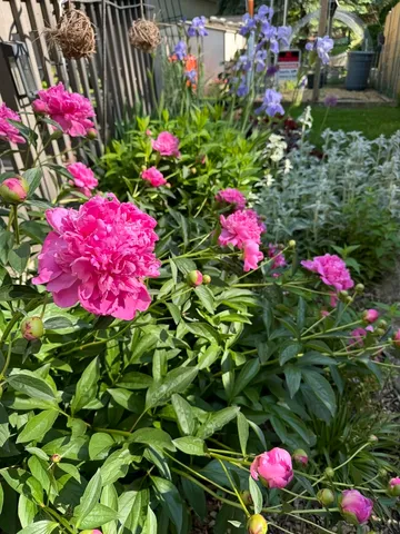 $574,900 | 17W435 Concord Place, Darien, IL 60561