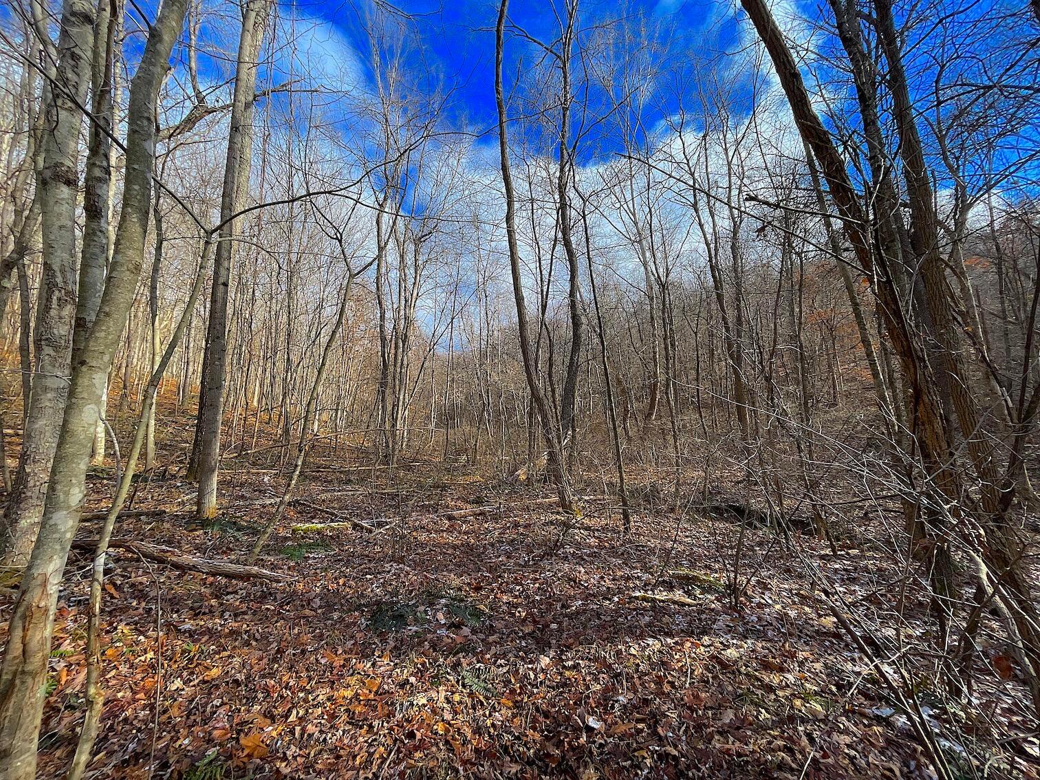 0 Hunting Run Road Lucasville, OH 45648 - Photo 1 of 39 LEAD PHOTO