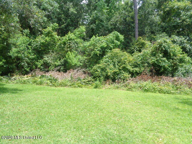 Wayne Lane Biloxi, MS 39532 - Photo 3 of 5 DSC06145