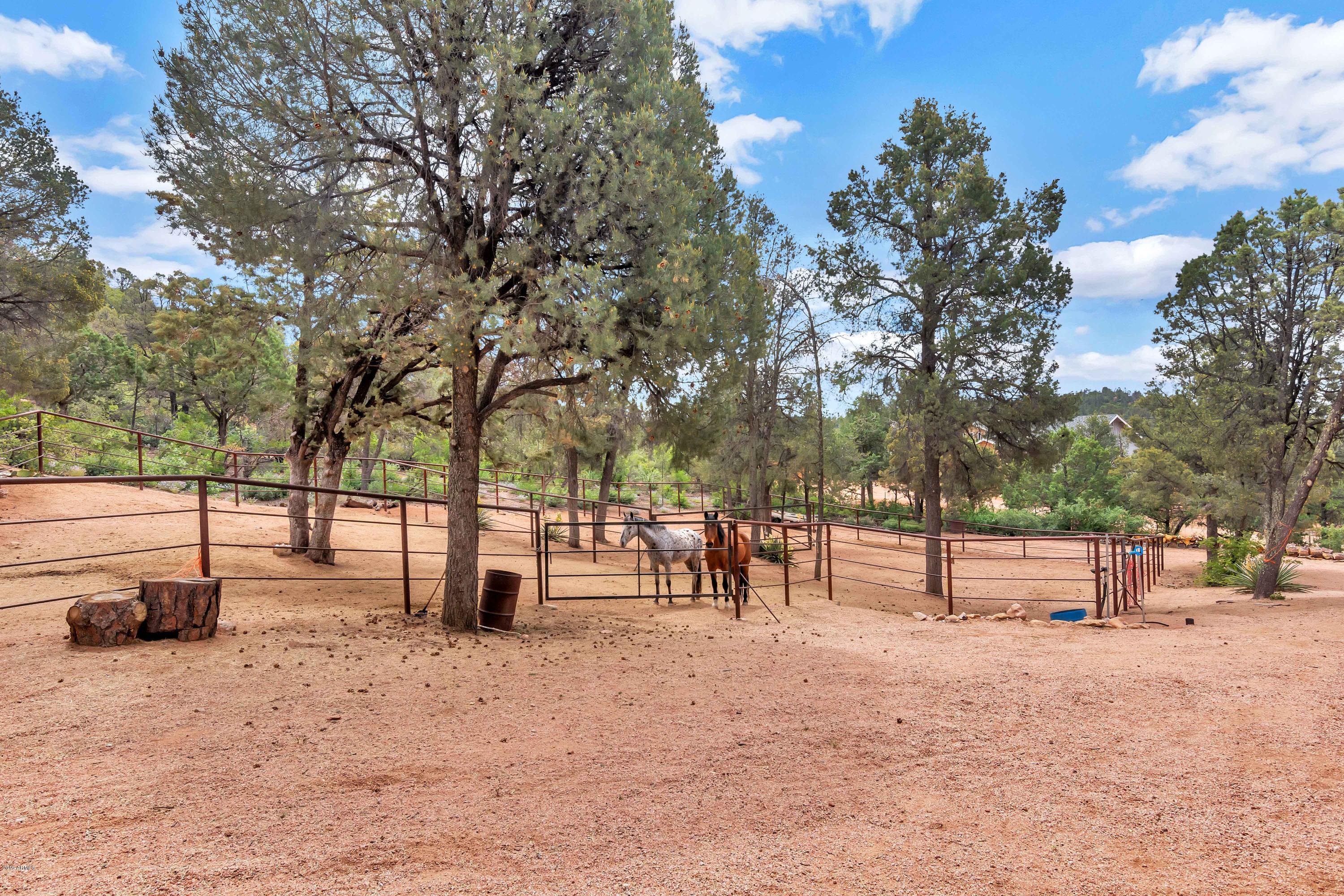 1411 East Graham Rnch Trail Payson, AZ 85541 - Photo 40 of 54 Corrals