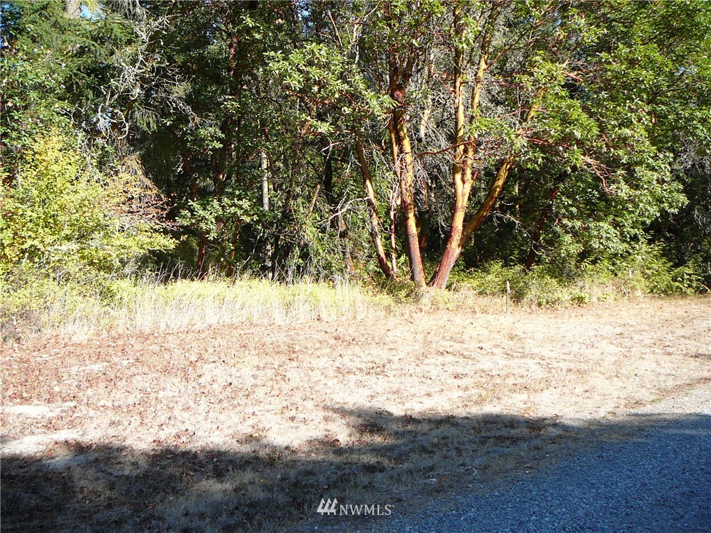 2 Kirner Road Sequim, WA 98382 - Photo 11 of 20