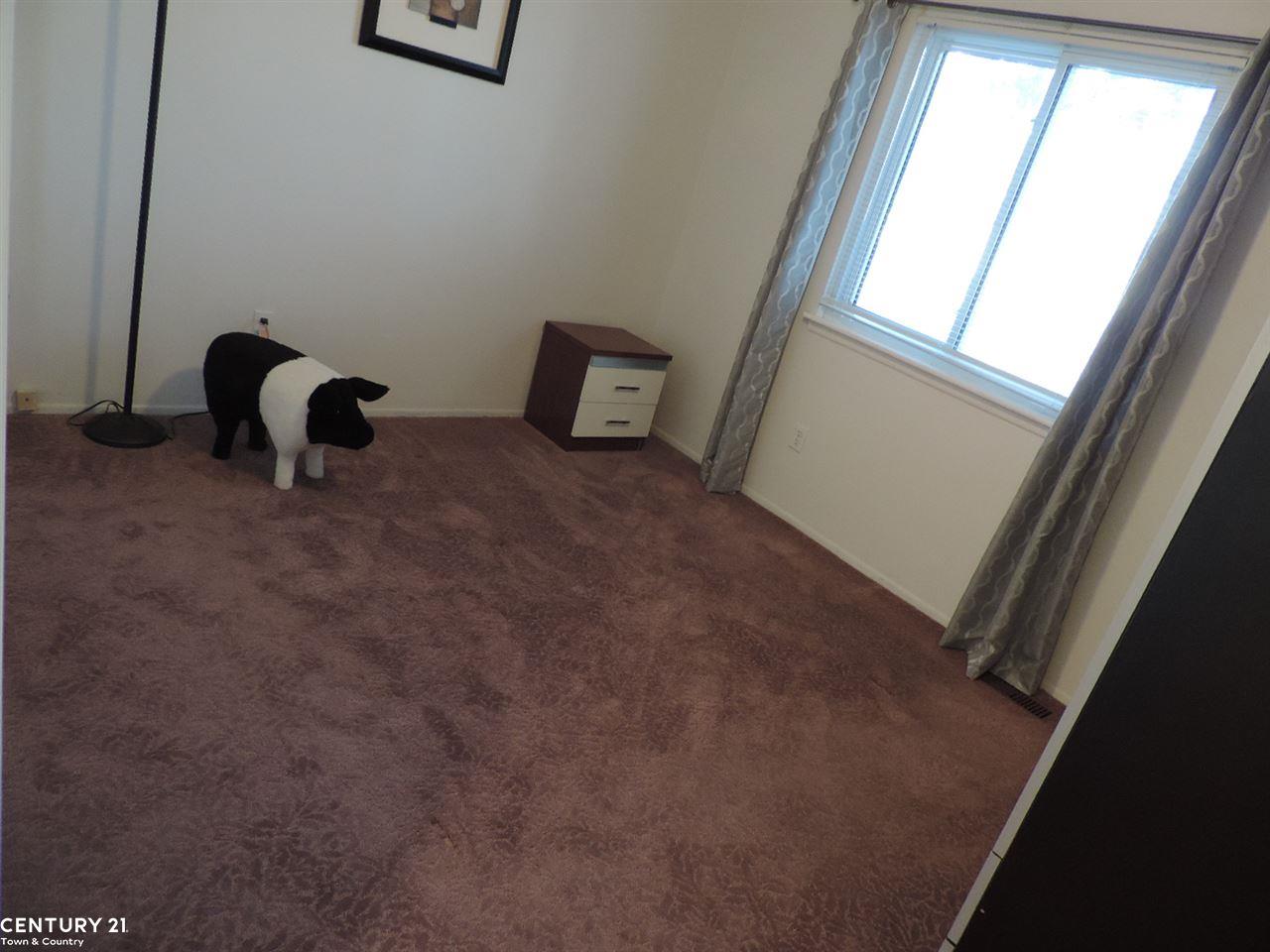33633 Ryan Road Sterling Heights, MI 48310 - Photo 20 of 29