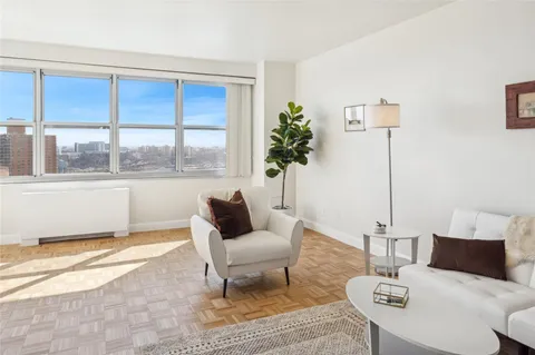 a living room with furniture and a potted plant