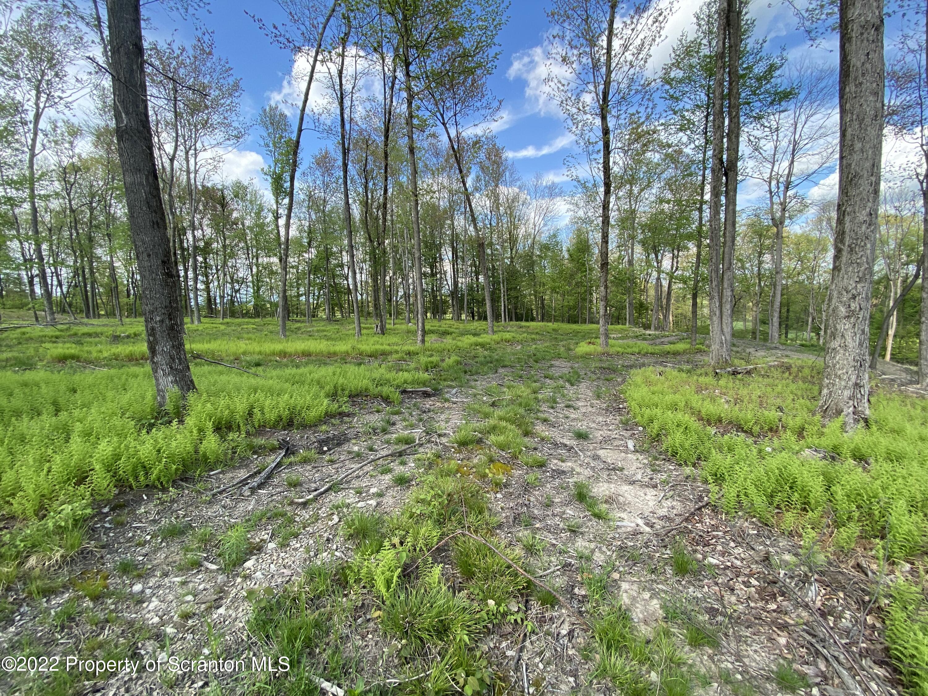 Lot 6 St Andrews Road Clarks Summit, PA 18411 - Photo 6 of 12 Land