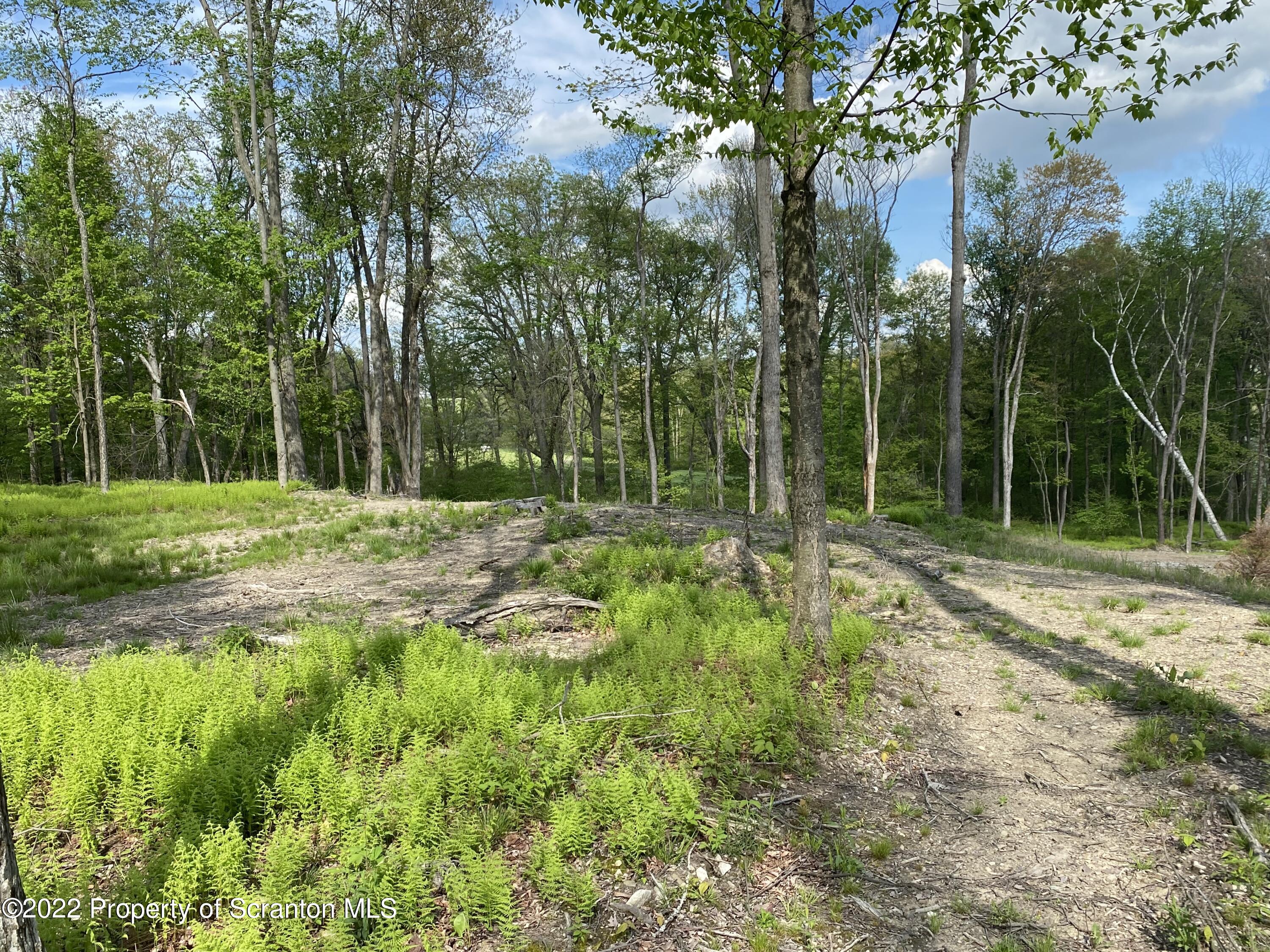 Lot 6 St Andrews Road Clarks Summit, PA 18411 - Photo 7 of 12 Golf Course Views
