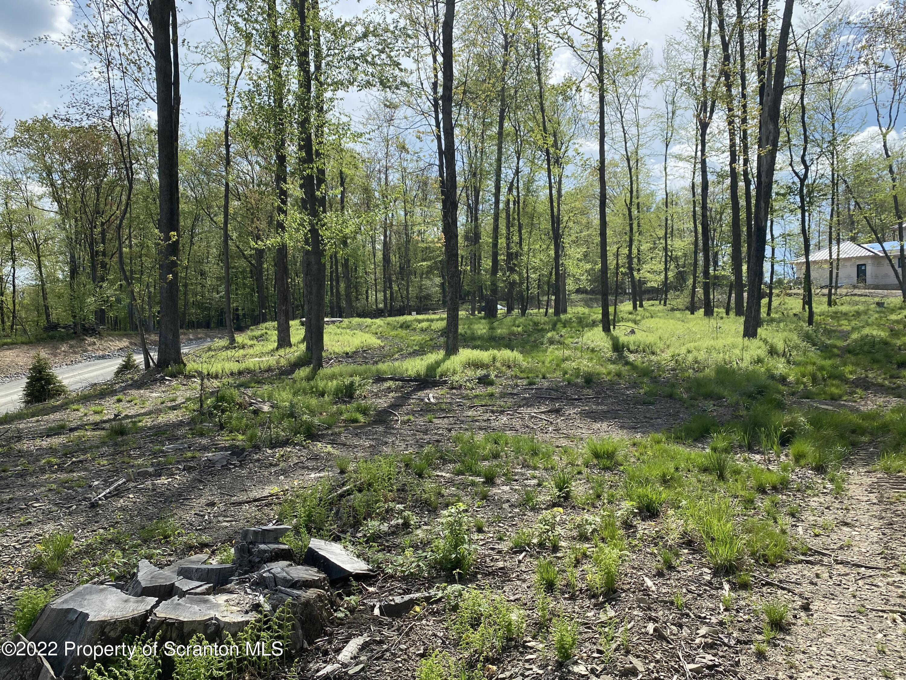Lot 6 St Andrews Road Clarks Summit, PA 18411 - Photo 9 of 12 Land