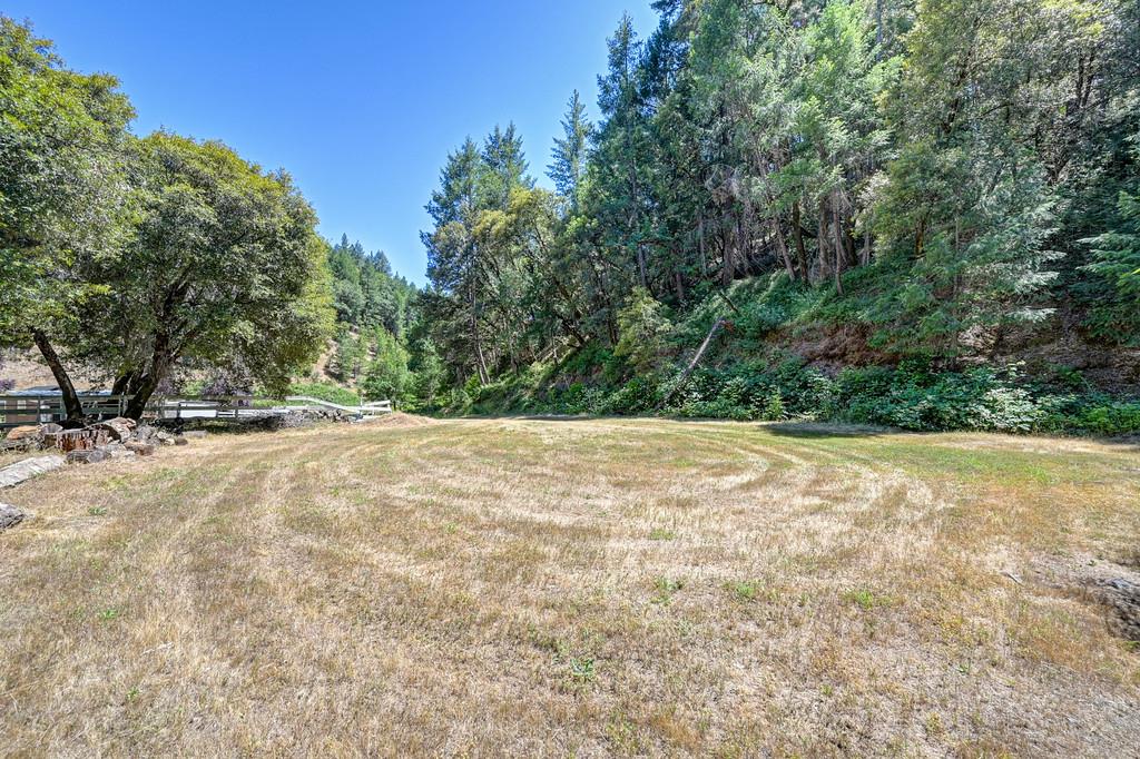 23505 Grand View Way Colfax, CA 95713 - Photo 5 of 32 Beautiful Meadow