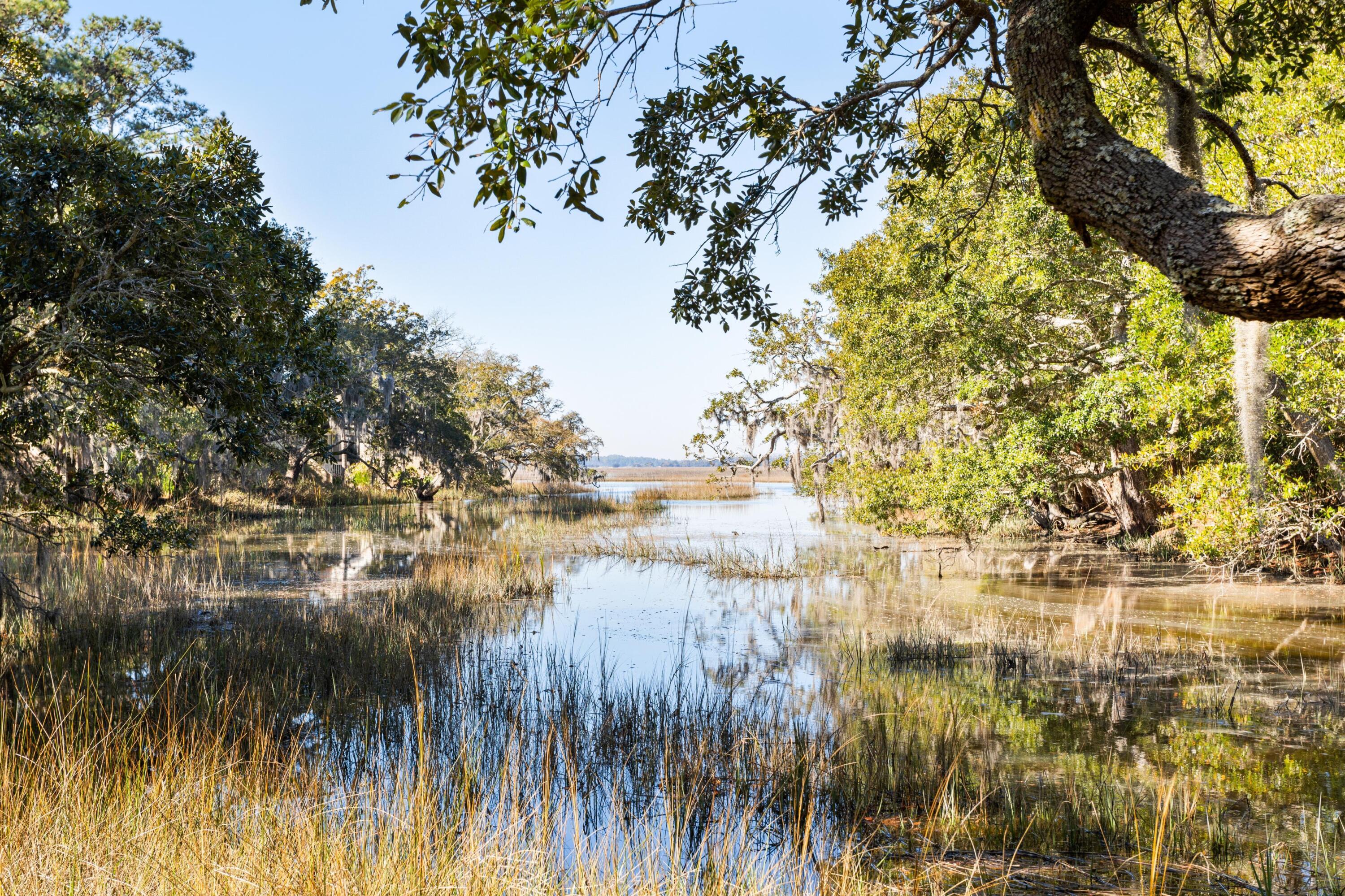 1007 Embassy Row Way Seabrook Island, SC 29455 - Photo 18 of 40 121667-CoastalRePhoto-1853