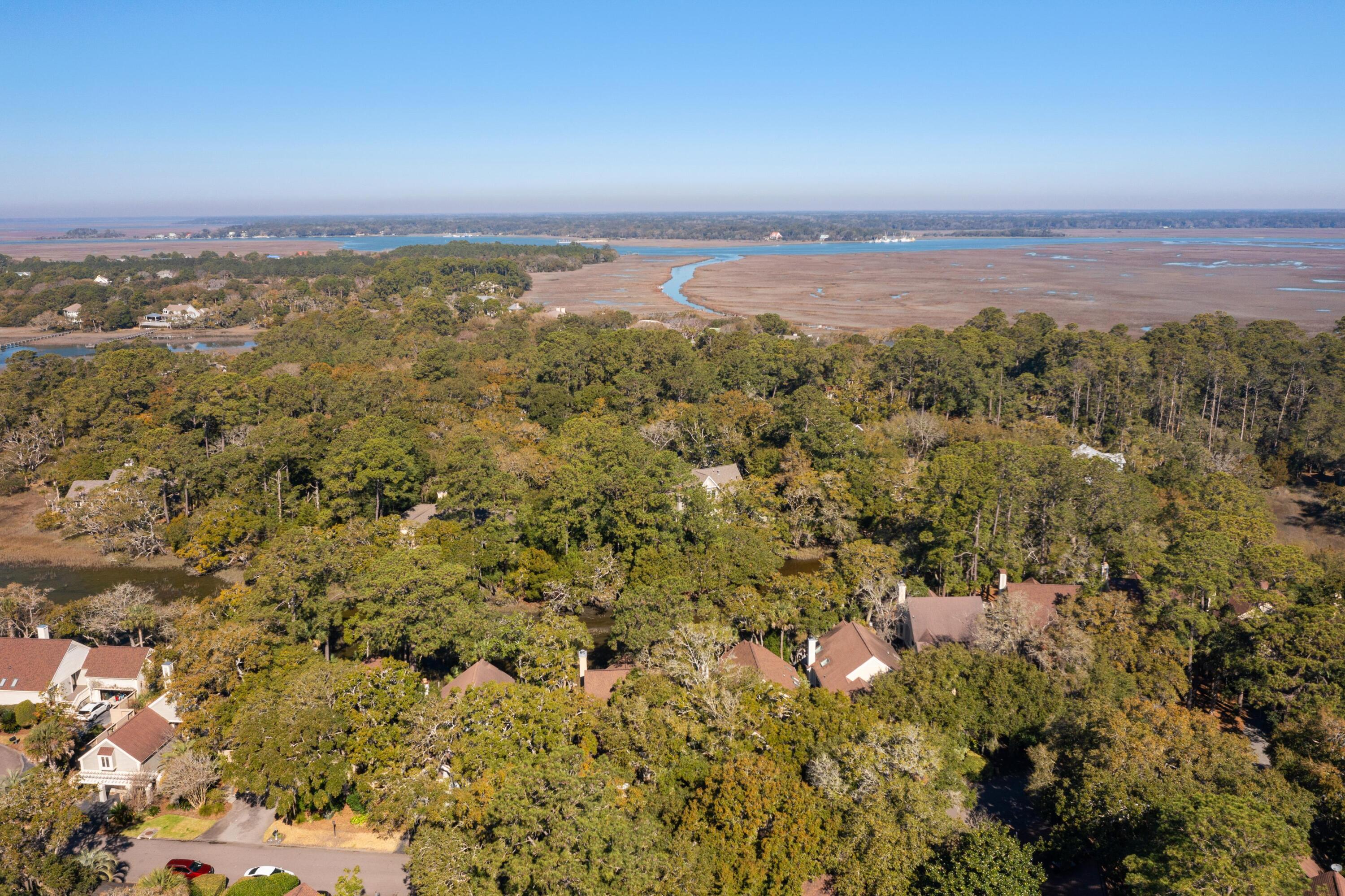 1007 Embassy Row Way Seabrook Island, SC 29455 - Photo 36 of 40 121678-CoastalRePhoto-0060