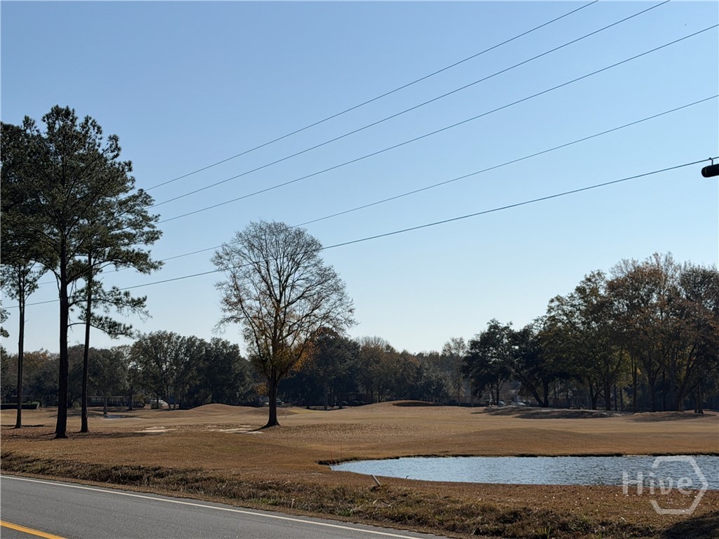 340 Frank Edwards Road Ellabell, GA 31308 - Photo 3 of 42 Near By Black Creek Golf Course