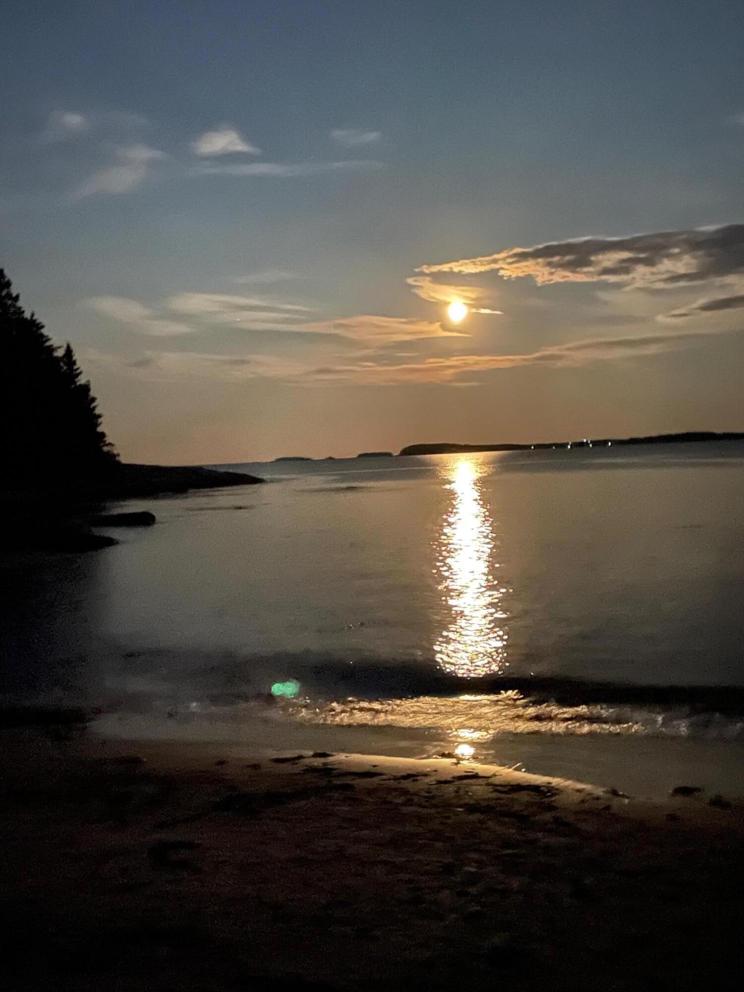 4 Maker Cove Road Owls Head, ME 04854 - Photo 10 of 33 IMG_8535