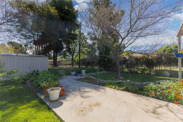 a view of a backyard with plants and lake