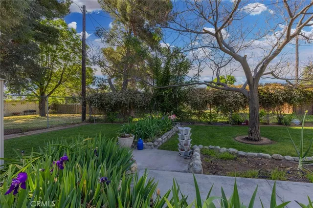 a view of a garden with flowers and trees