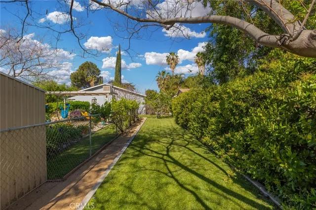 a view of backyard with tree