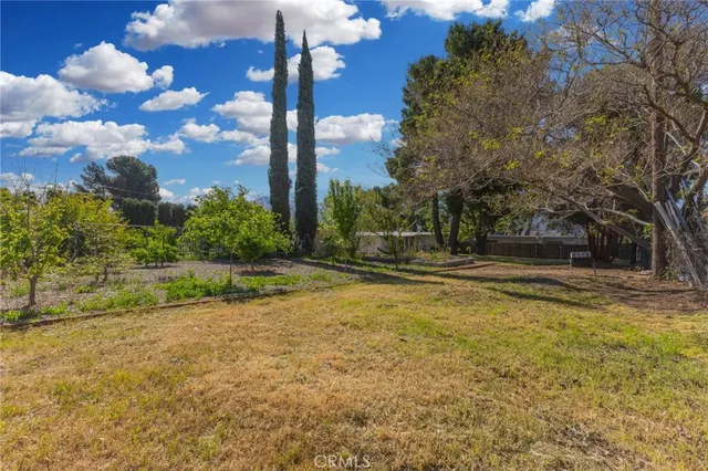a view of backyard with tree