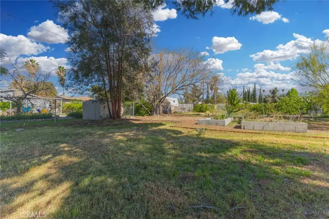 a view of a park with large trees