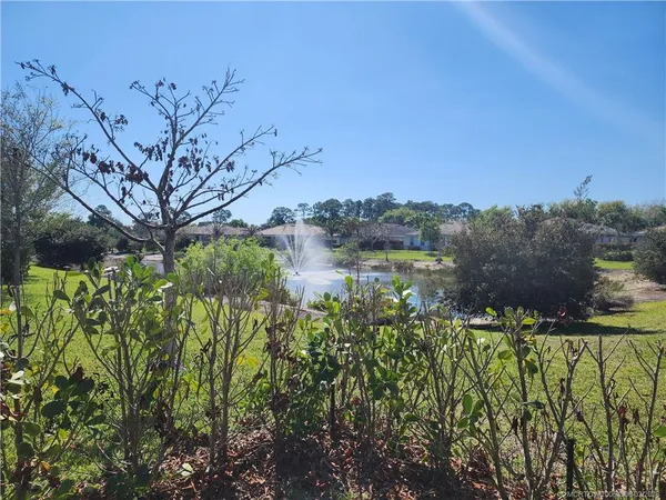 a view of a grassy field with trees in the background