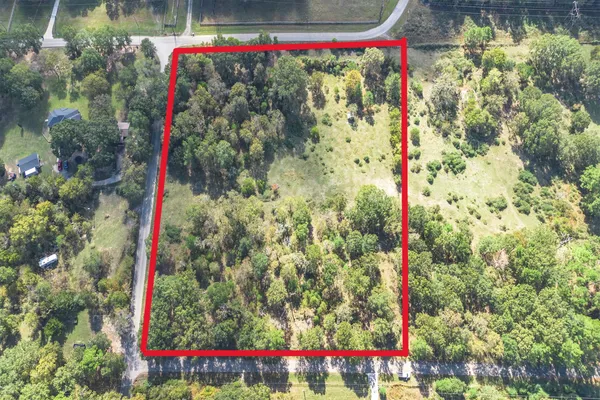 a view of a flower garden