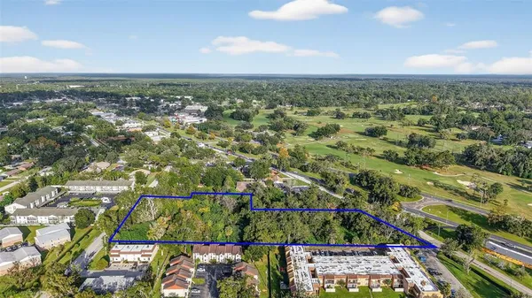 a view of a yard with plants and trees