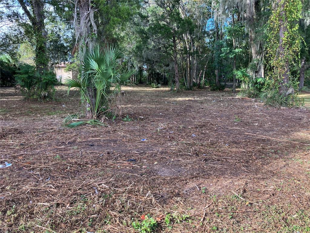 2917 Northeast 3rd Street Ocala, FL 34470 - Photo 7 of 10 a view of outdoor space with trees