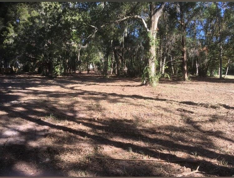 2917 Northeast 3rd Street Ocala, FL 34470 - Photo 8 of 10 a view of swimming pool and trees