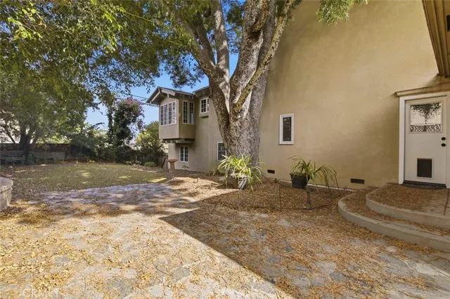 a view of a yard with plants and trees