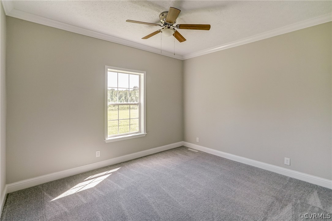 5017 Stage Junction Road Columbia, VA 23038 - Photo 21 of 43