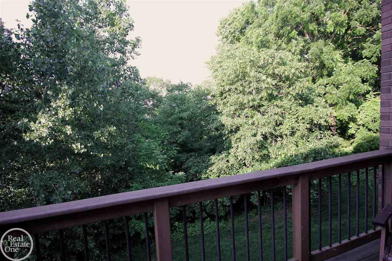1061 Moran Drive Rochester, MI 48307 - Photo 15 of 40 31322878-14.JPG