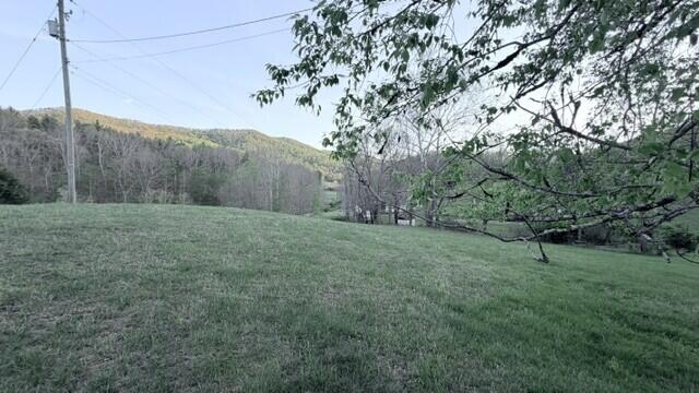 2463 Willow Bend Road Lindside, WV 24951 - Photo 42 of 75 Gallery Image 42