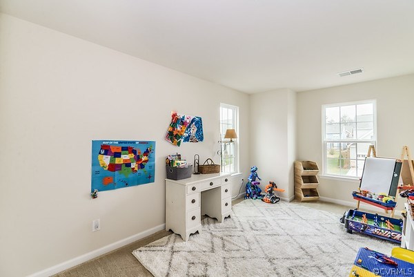 13548 Providence Run Road Ashland, VA 23005 - Photo 19 of 26 Gallery Image 19