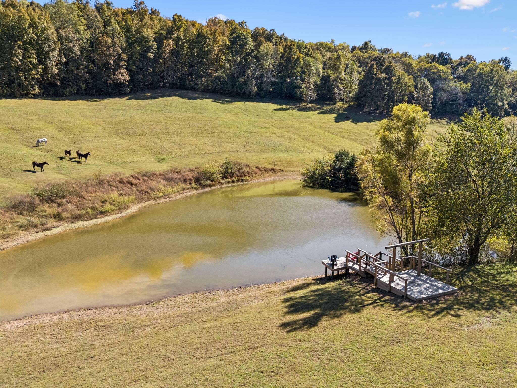 2846 Fuller Hollow Road Cornersville, TN 37047 - Photo 2 of 90